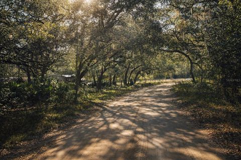 202 MIMOSA DRIVE HAWTHORNE FL 32640