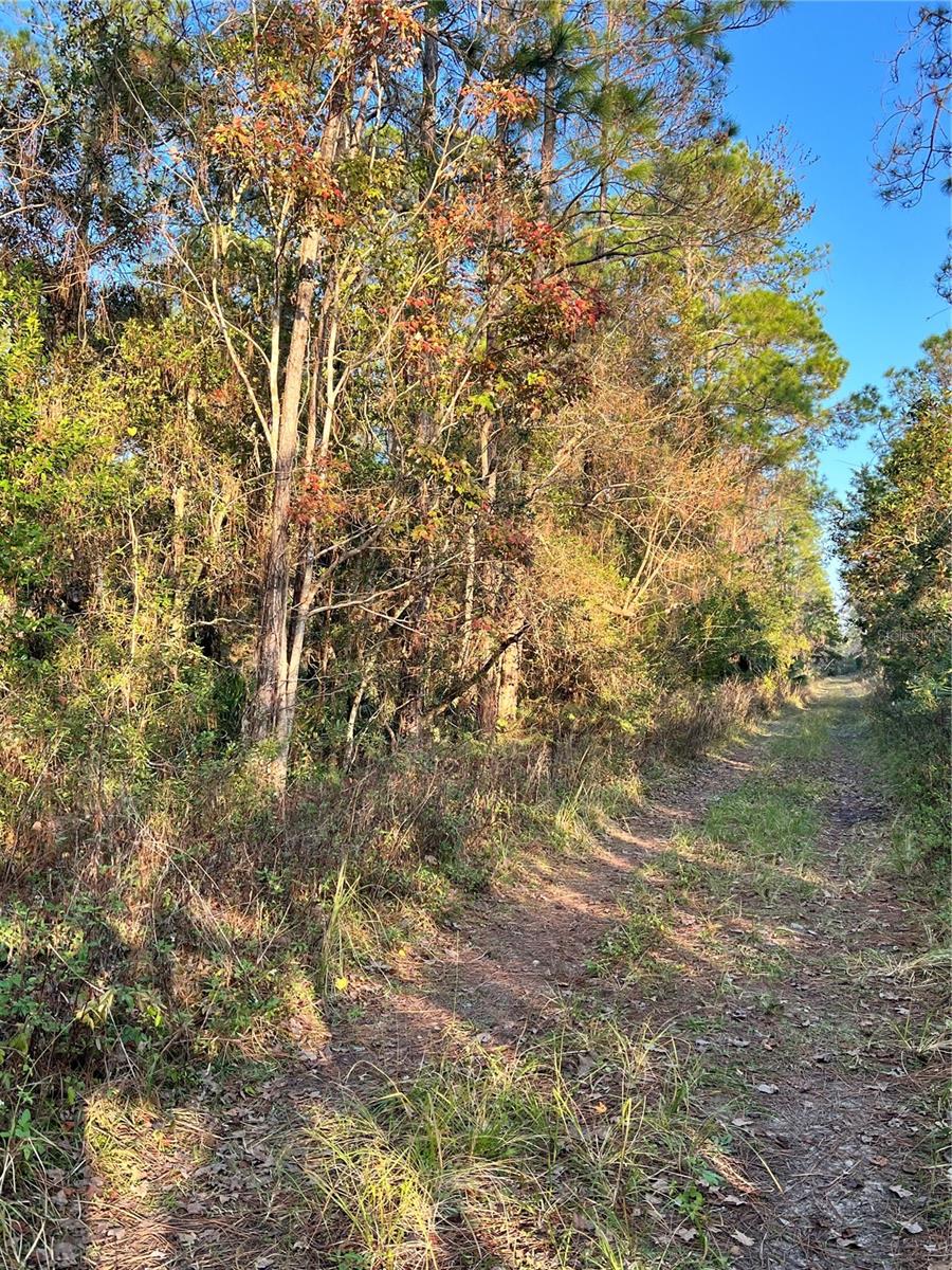 UNIVERSITY HIGHLANDS/ DELAND CROSSINGS