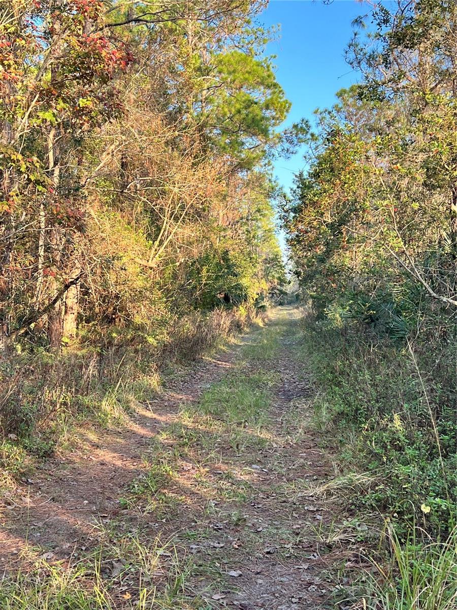 UNIVERSITY HIGHLANDS/ DELAND CROSSINGS