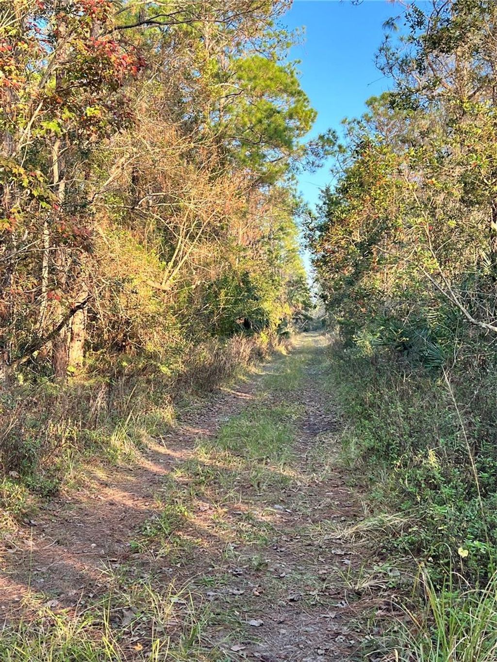 Photo of University Highlands/ Deland Crossings, Deland, FL 32724 (MLS # V4947058)