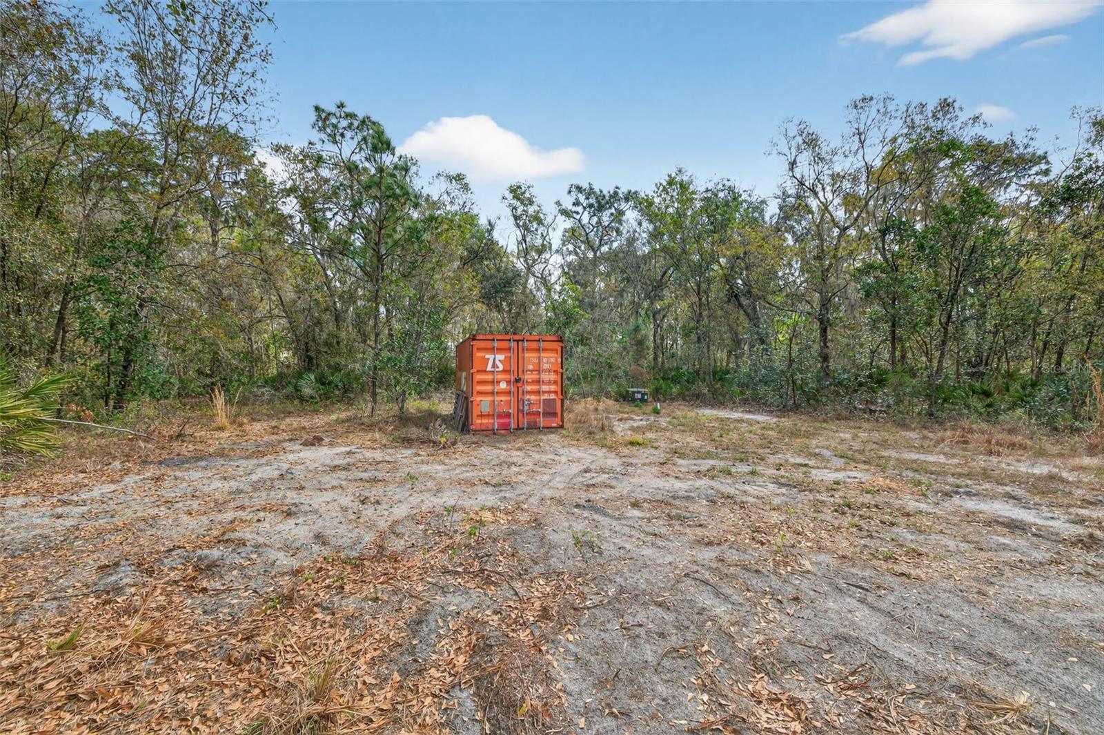 11803 DOG HOLLOW LANE