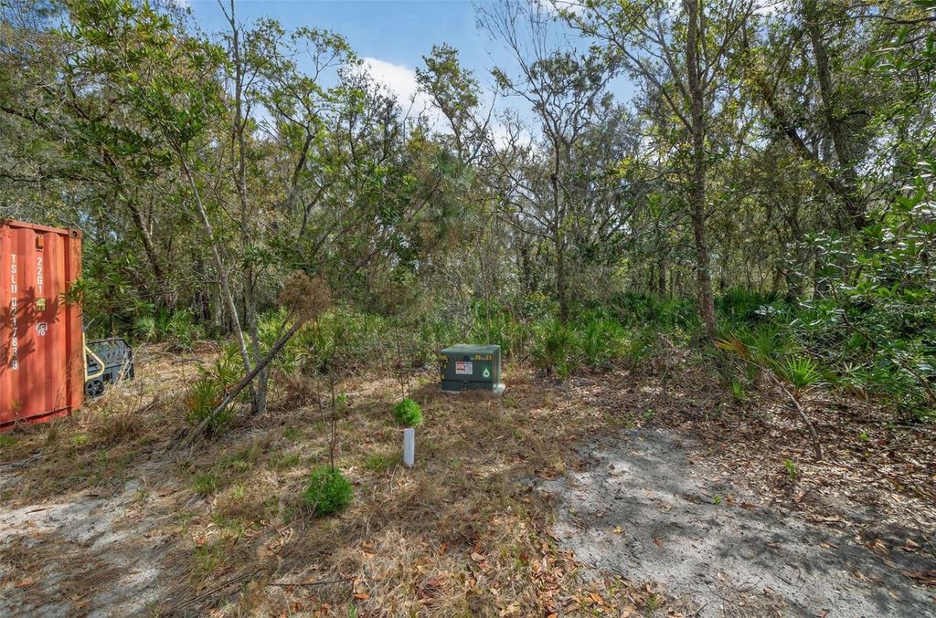 Photo of 11803 Dog Hollow Lane, Lithia, FL 33547 (MLS # TB8490347)