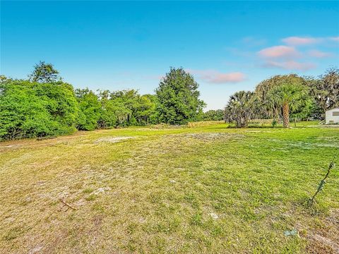 Tiny photo for 38611 Marshall Street, Umatilla, FL 32784 (MLS # V4948967)