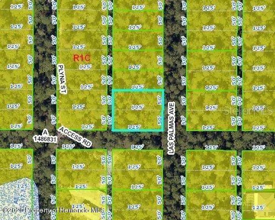 This lot is near a nice community with beautiful homes and a lot of amenities including restaurants, banks, medical, hospital, shopping centers, supermarkets, and big box stores. If you enjoy sunsets, swimming, fishing, boating, kayaking or canoeing, there's a handful of local parks along the water including Weeki Wachee, Rogers Park, Jenkins Creek, Linda Pedersen, and Pine Island beach at the Gulf of Mexico. It's located approximately 1 hour drive to Tampa & St. Pete Airports and 1.5 hours to Orlando and Ocala. No HOA. The road is dirt and not county maintained. Situated about 1 block north of Berkeley Manor subdivision.