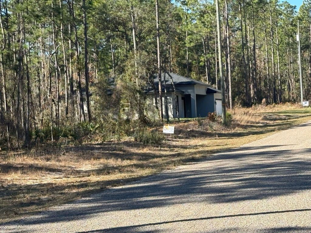 Photo of 9367 N Fairy Lilly Drive, Citrus Springs, FL 34433 (MLS # O6384114)