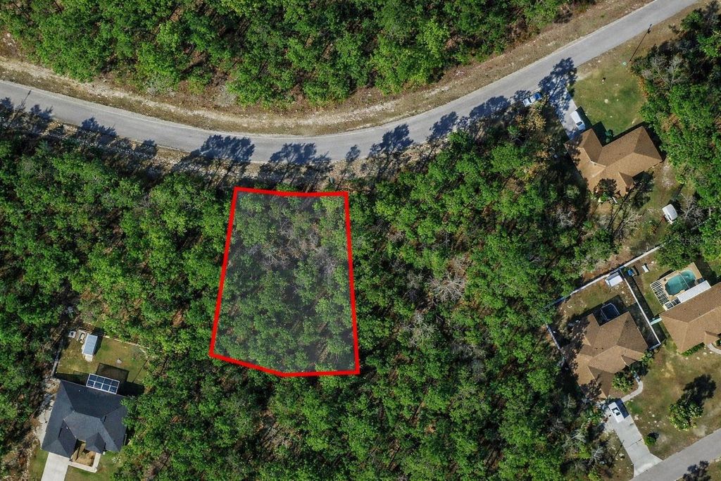 Photo of 9367 N Fairy Lilly Drive, Citrus Springs, FL 34433 (MLS # O6384114)