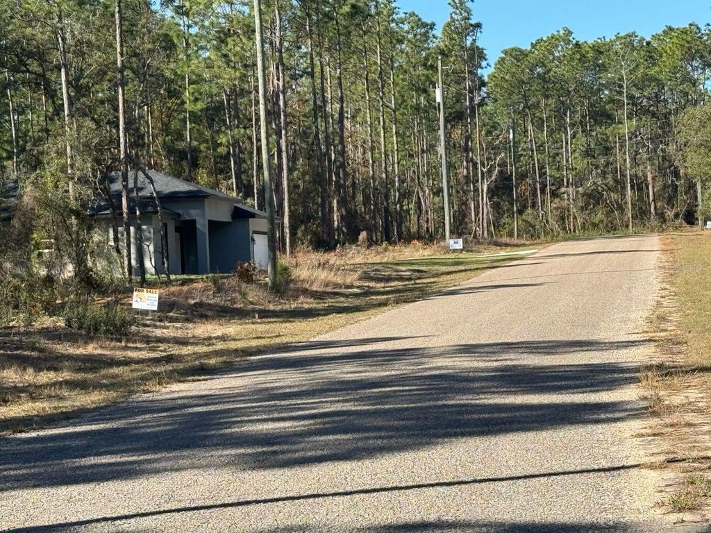 Photo of 9367 N Fairy Lilly Drive, Citrus Springs, FL 34433 (MLS # O6384114)