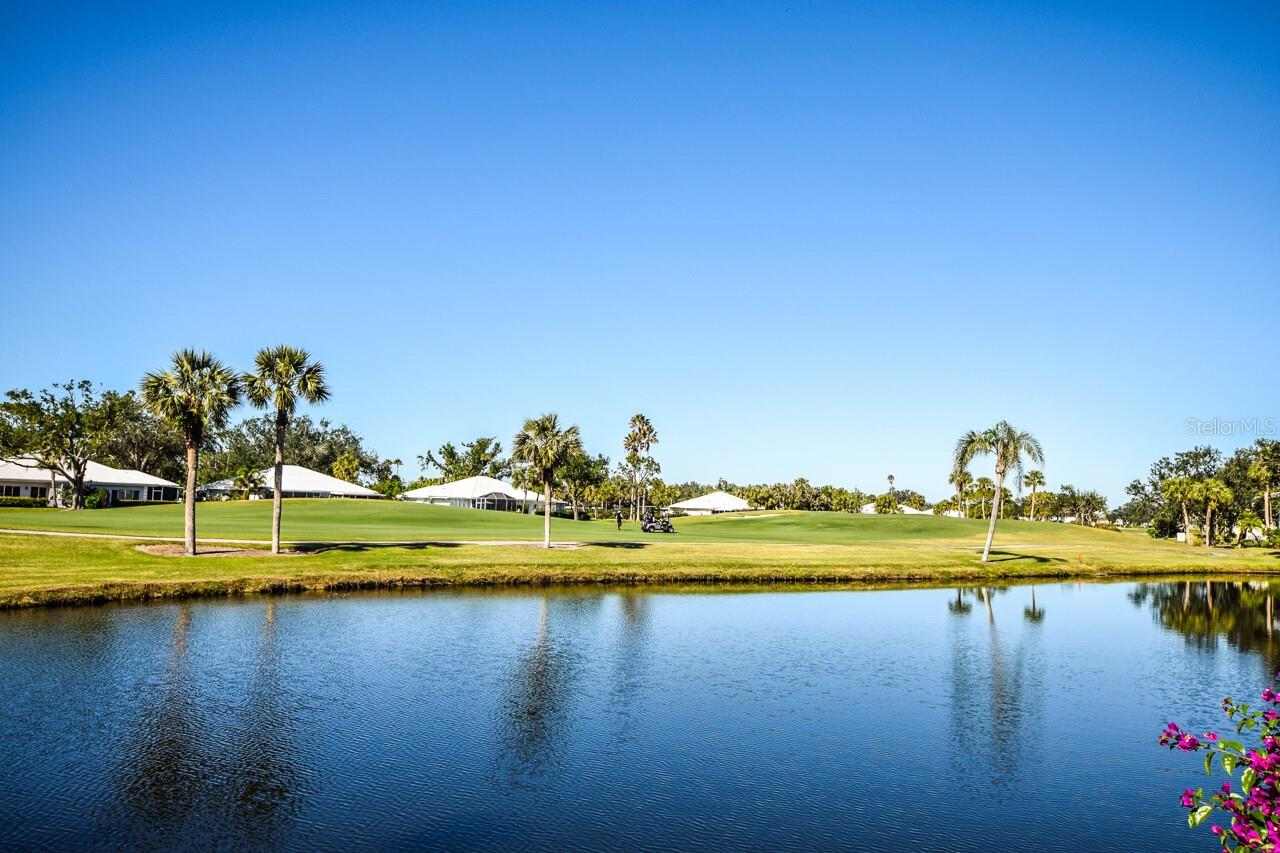 FARMINGTON VISTAS - Residential