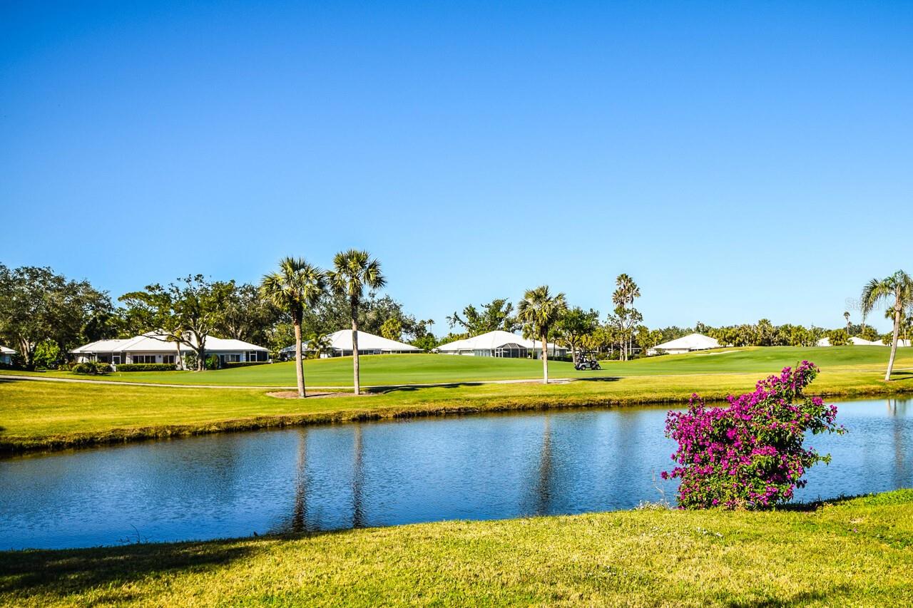 FARMINGTON VISTAS - Residential