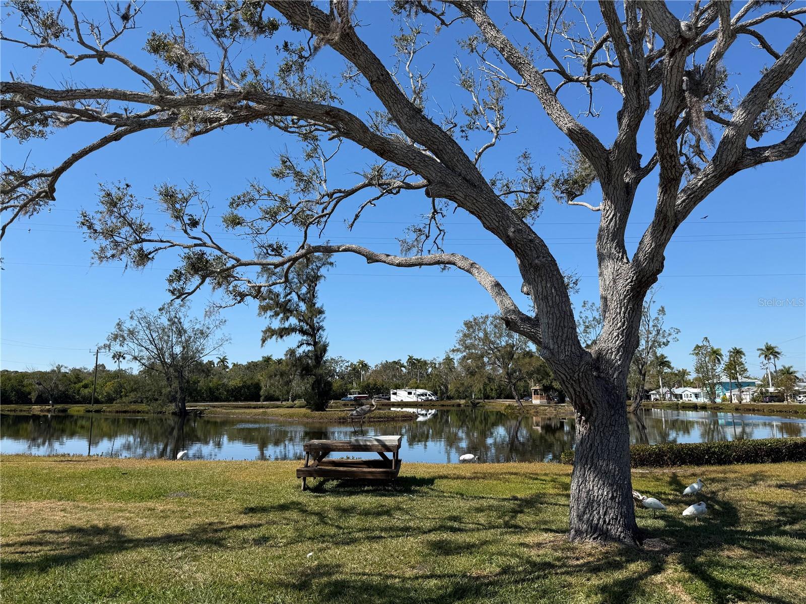 BRADEN CASTLE PARK - Residential