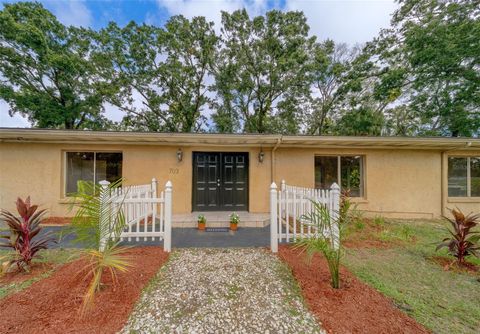 703 W SLIGH AVENUE TAMPA FL 33604
