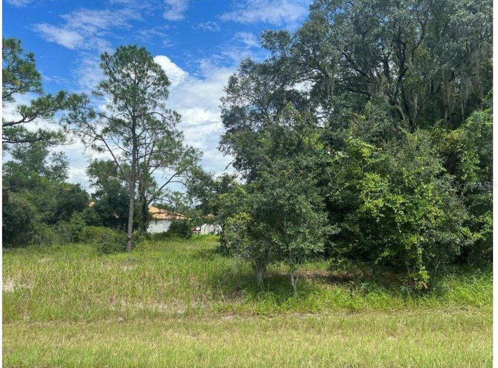 Photo of 1336 Hillsborough Court, Poinciana, FL 34759 (MLS # O6424758)