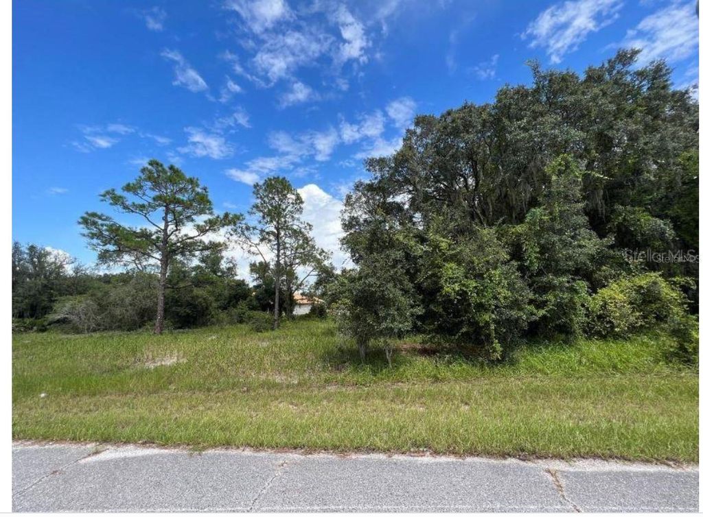 Photo of 1336 Hillsborough Court, Poinciana, FL 34759 (MLS # O6424758)