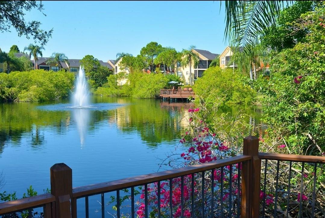 BAYPOINTE PRESERVE CONDO - Residential Lease