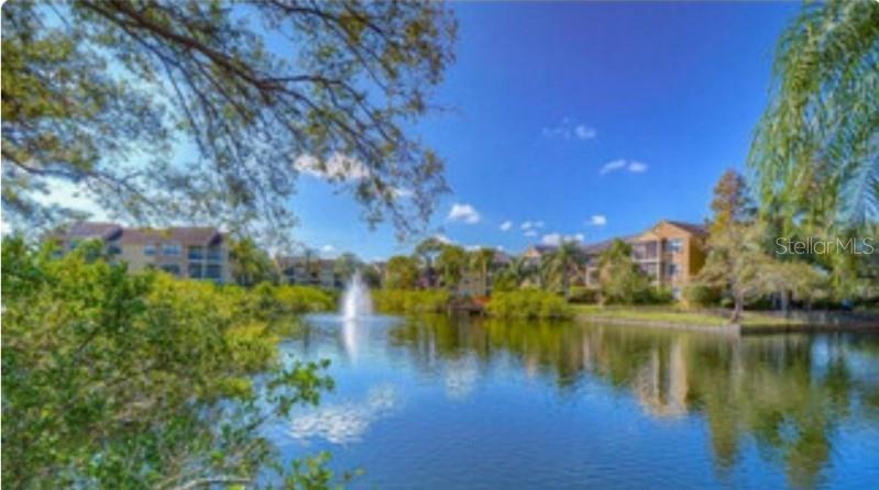 BAYPOINTE PRESERVE CONDO - Residential Lease