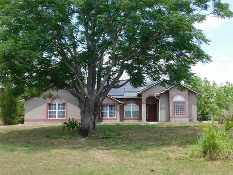 7045 BRANCH COURT ST CLOUD FL 34771