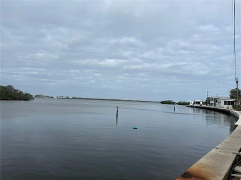 325 TERRA CEIA DRIVE PALMETTO FL 34221