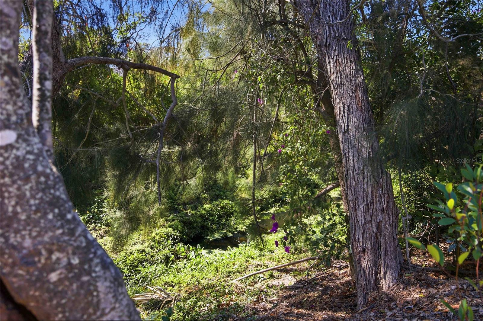 SUNNYSIDE PARK - Residential