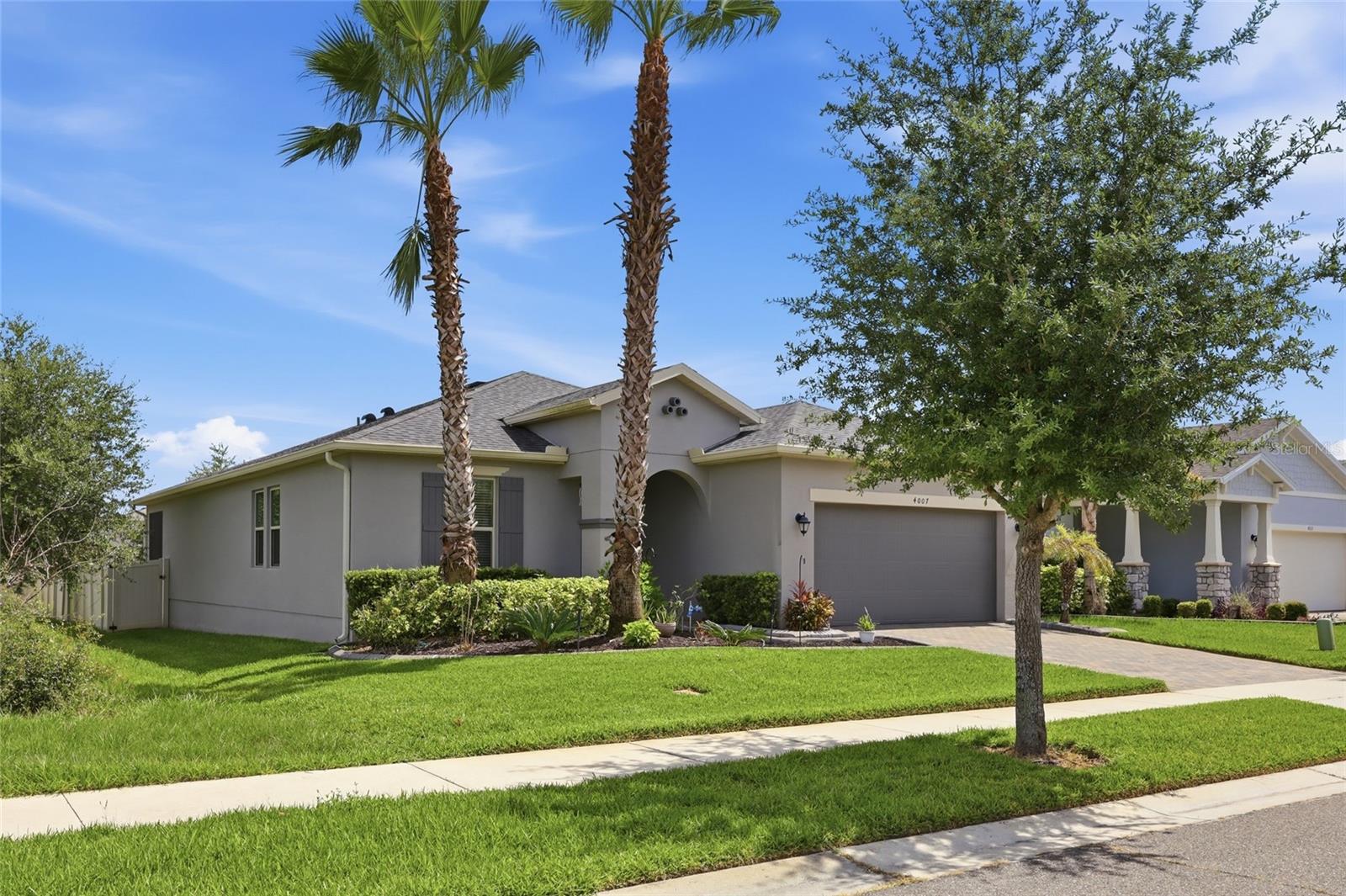 4007 GREEN SABAL