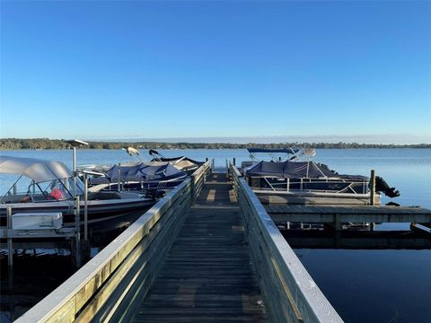 Tiny photo for 17708 Sawgrass Run, Deer Island, FL 32778 (MLS # O6388251)