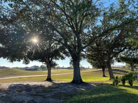 Tiny photo for 17708 Sawgrass Run, Deer Island, FL 32778 (MLS # O6388251)