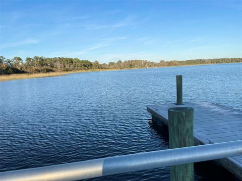 Tiny photo for 17708 Sawgrass Run, Deer Island, FL 32778 (MLS # O6388251)