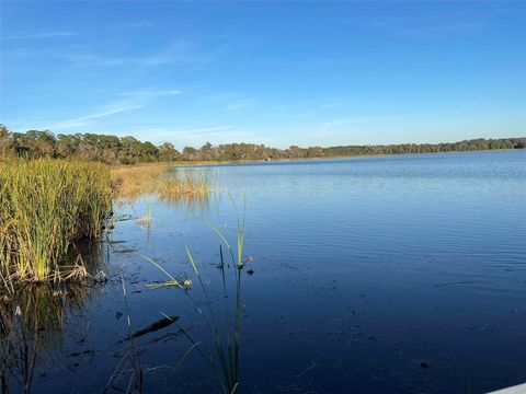 Tiny photo for 17708 Sawgrass Run, Deer Island, FL 32778 (MLS # O6388251)