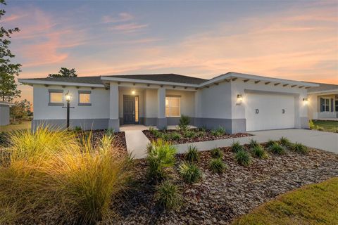 Photo of 10002 SW 106th Circle, Ocala, FL 34481 (MLS # OM714255)