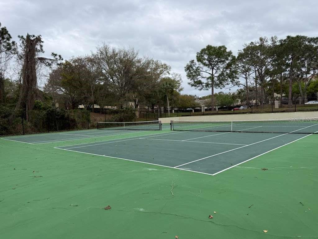 OASIS AT PEARL LAKE A CONDO - Residential