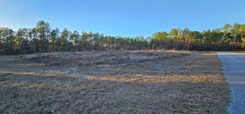 SW 136TH STREET OCALA FL 34473