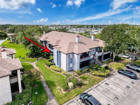 10265 GANDY BLVD N 1411 ST PETERSBURG FL 33702