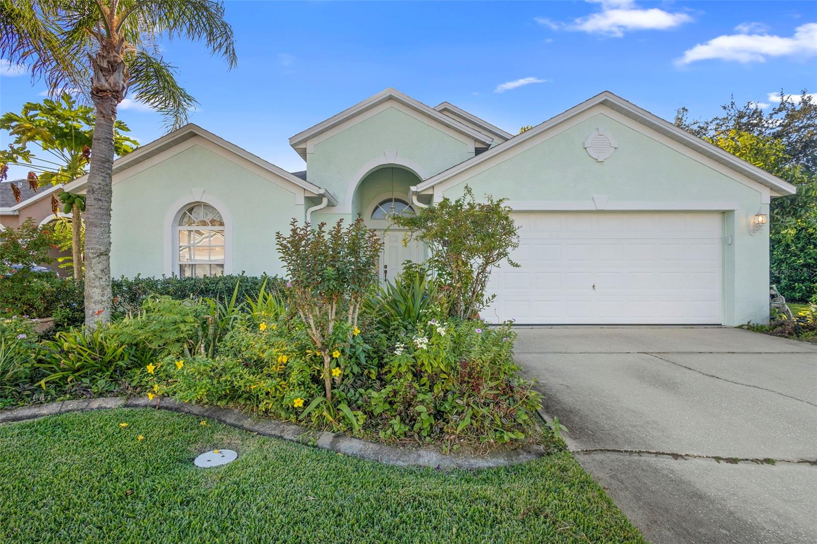 114 CARNIVAL DRIVE