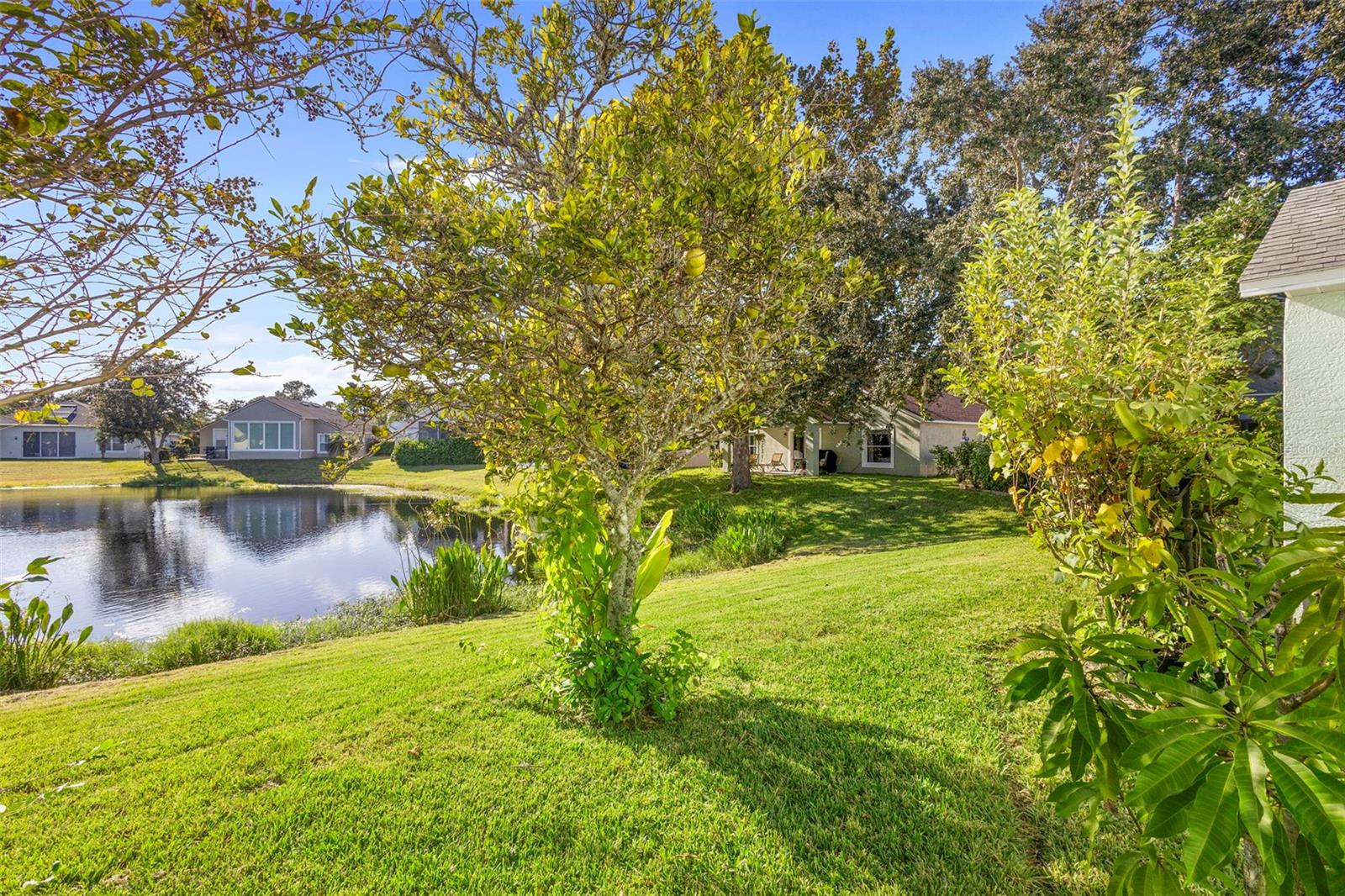 114 CARNIVAL DRIVE