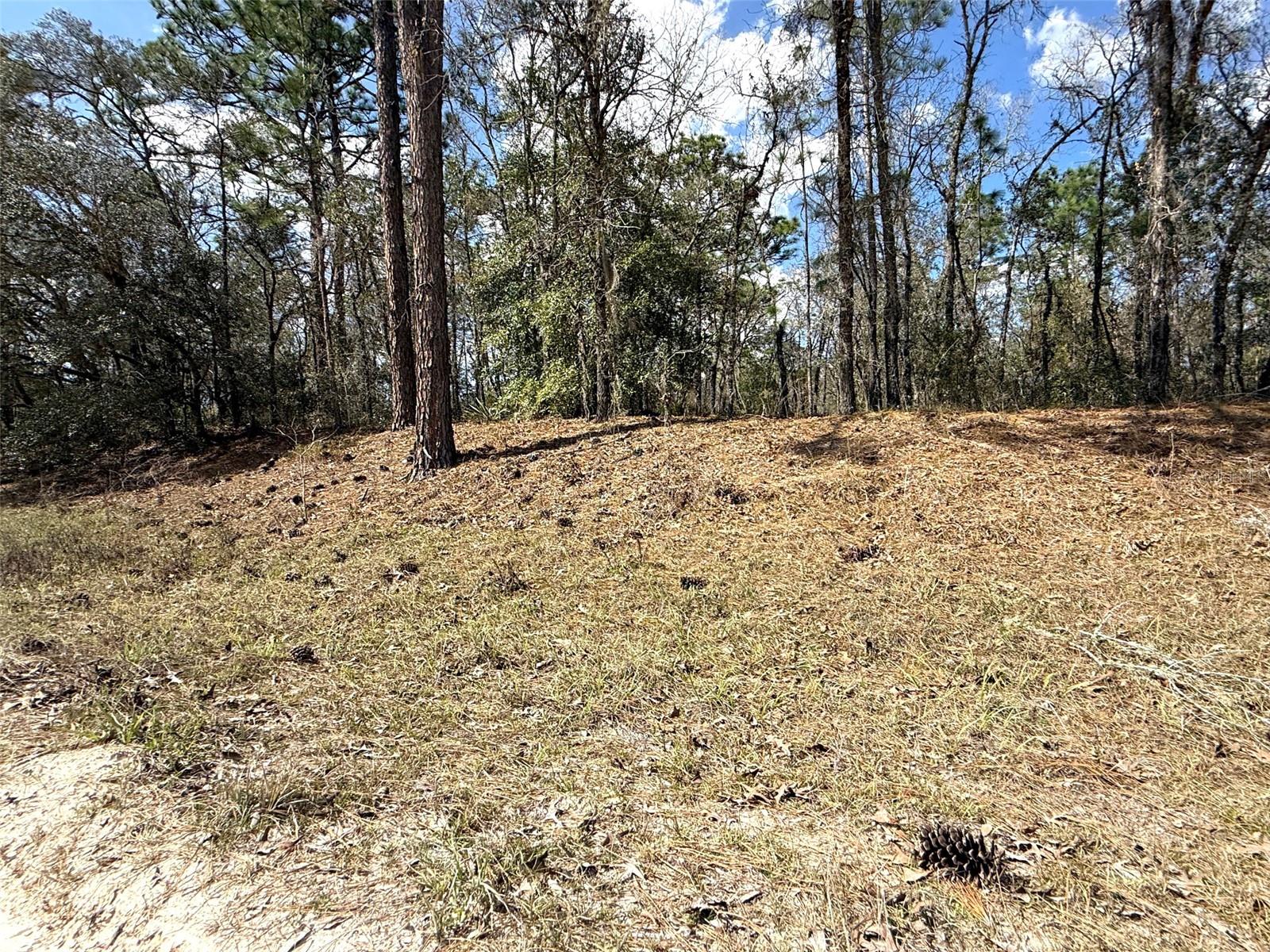 ROLLING HILLS UN 01 - Land