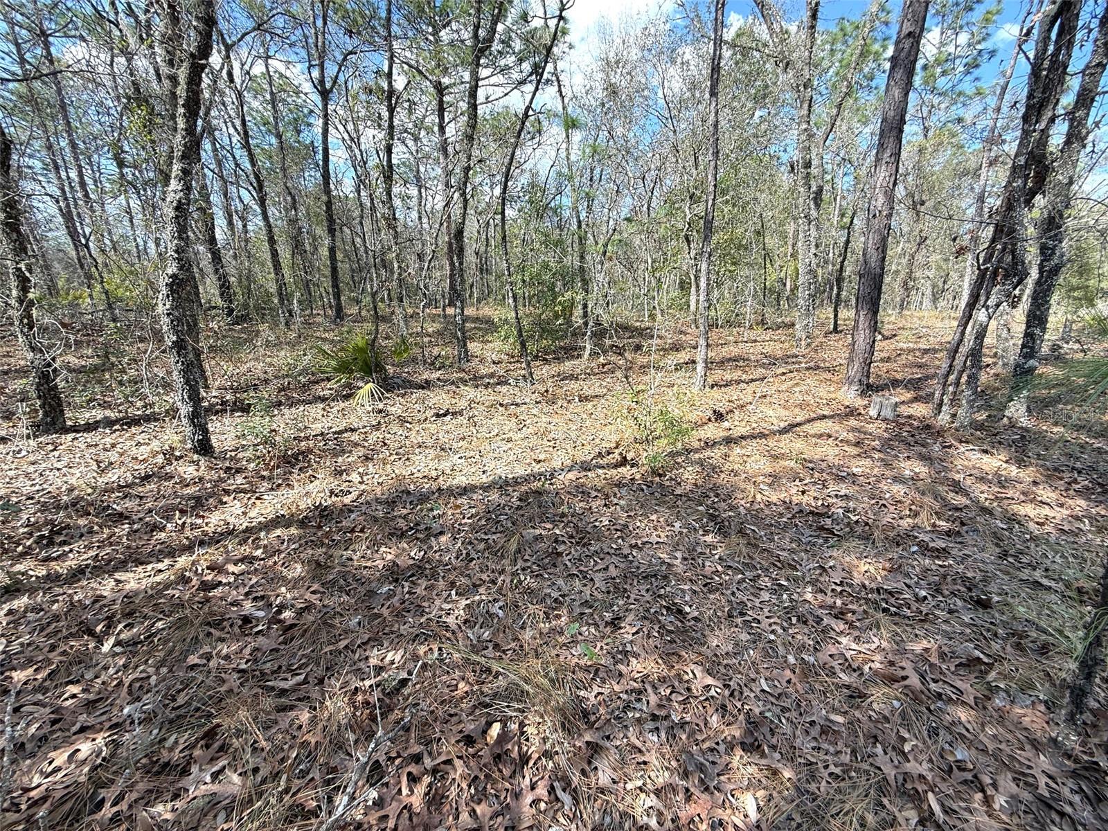 ROLLING HILLS UN 01 - Land