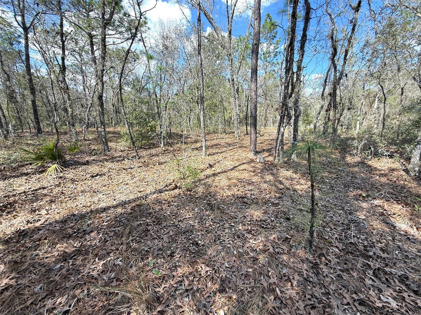 ROLLING HILLS UN 01 - Land