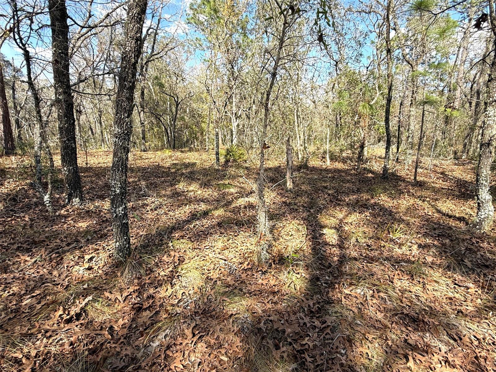 ROLLING HILLS UN 01 - Land