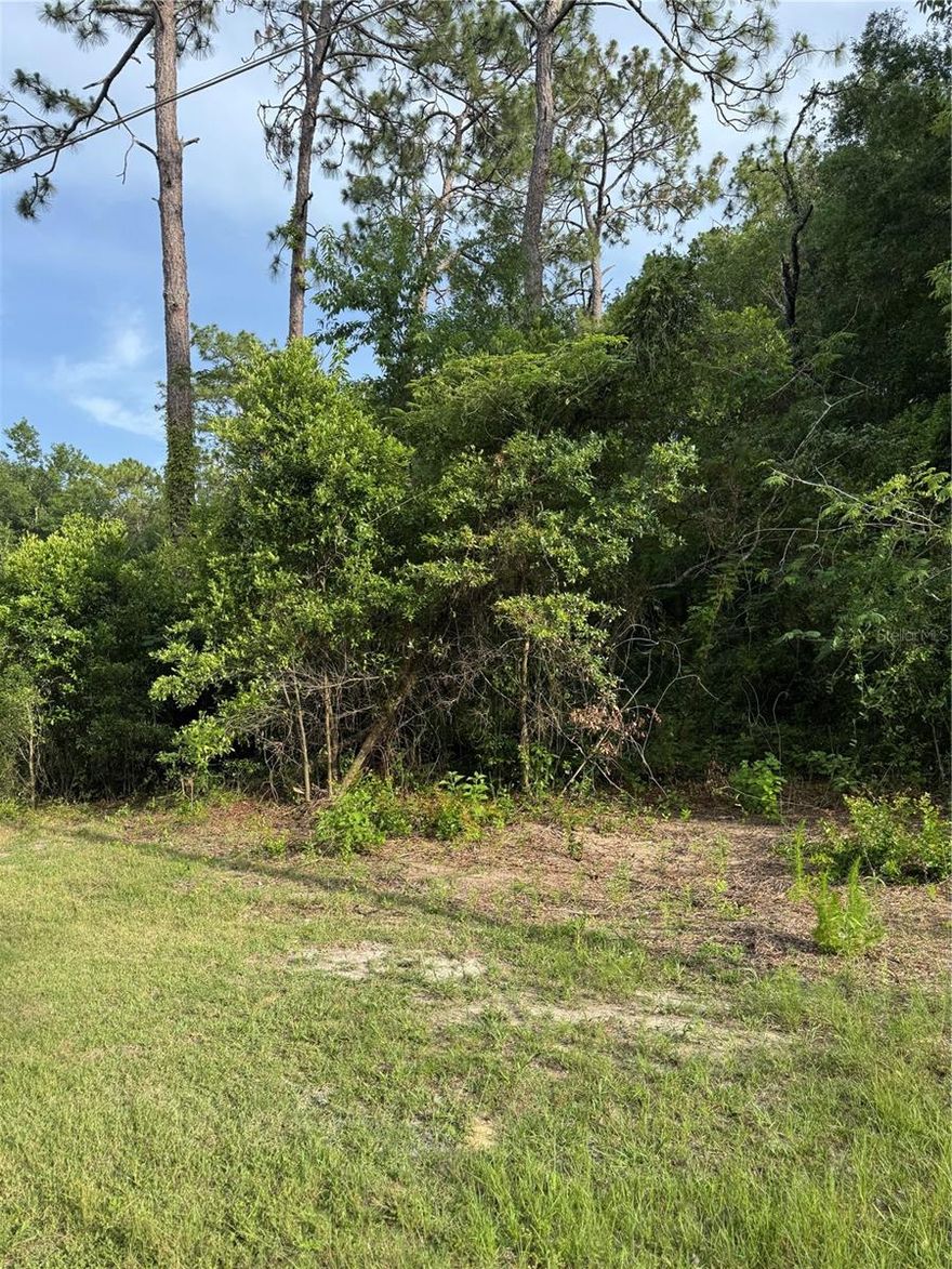 This charming ¼-acre lot is ideally located just outside of Bronson, Florida, offering a perfect balance of tranquility and convenience. Enjoy your own slice of peaceful living while being just minutes from the town center for shopping, dining, and everyday essentials.
Situated within 30 minutes of Gainesville and a short drive to Ocala, this lot provides easy access to both small-town charm and big-city amenities. Whether you're looking to build your dream home or invest in land for the future, this location offers unbeatable value and potential.