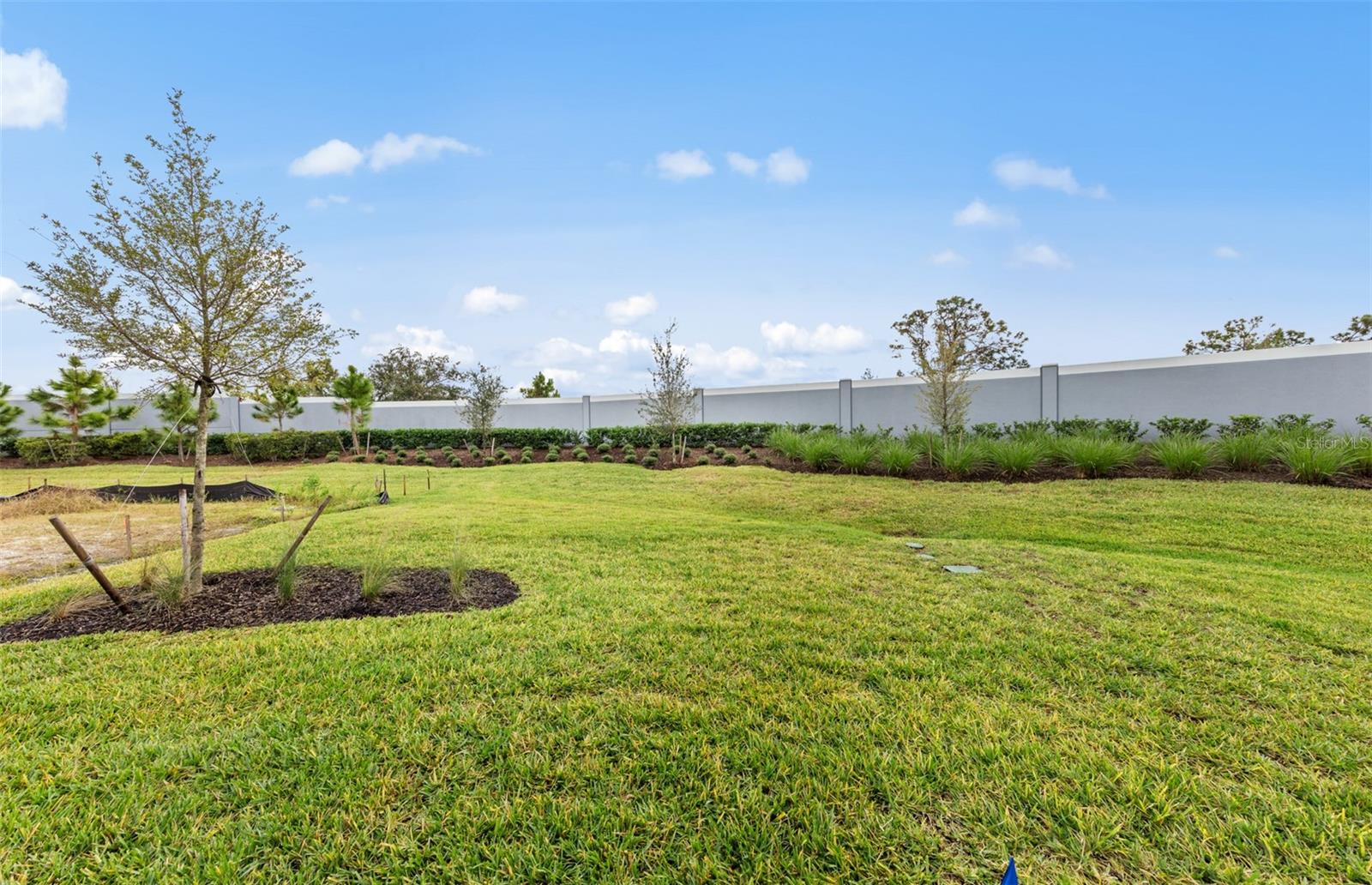 ARBOR OAKS AT THE WOODLANDS - Residential