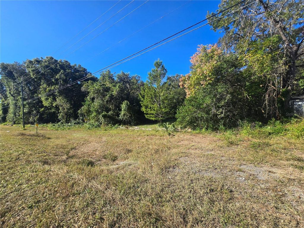 Photo of 4322 N Carl G Rose Highway, Hernando, FL 34442 (MLS # OM713486)