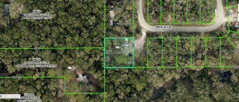 4809 MERLIN CIRCLE RIDGE MANOR FL 33523