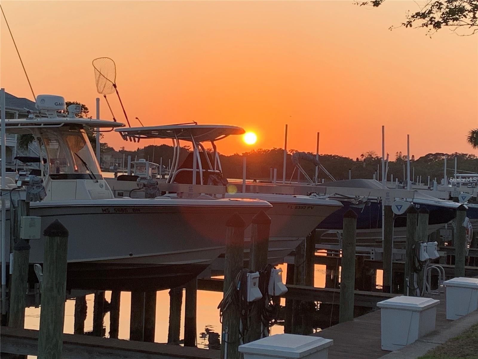 WATERSIDE AT COQUINA KEY SOUTH - Residential