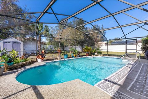 A home in PALM COAST