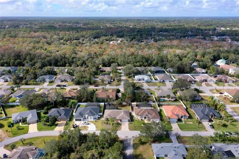 A home in PALM COAST