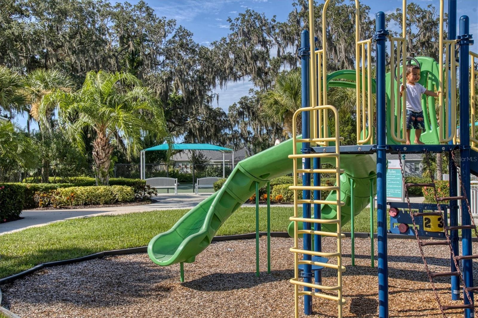 SILVERLEAF PH I-D - Residential