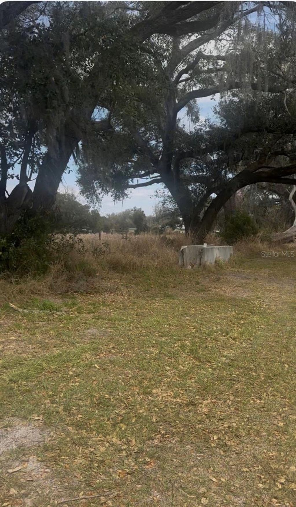 Photo of 8536 State Road 33 N, Lakeland, FL 33809 (MLS # S5144844)