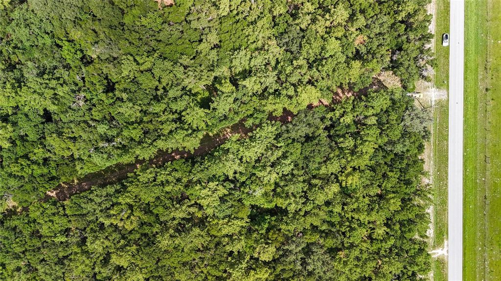 Photo of 7906 SW County Road 346, Archer, FL 32618 (MLS # GC535248)