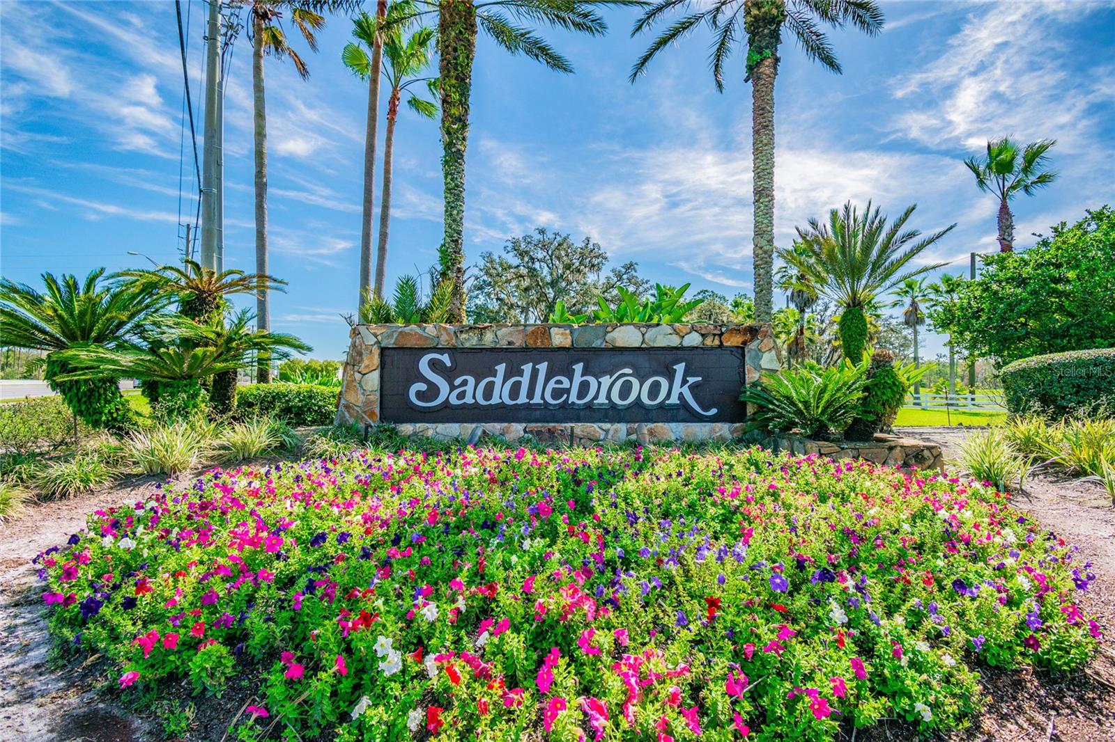 29244 WHIPPORWILL LANE