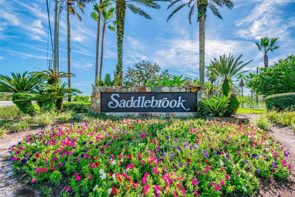 Photo of 29244 Whipporwill Lane, Wesley Chapel, FL 33543 (MLS # TB8473295)