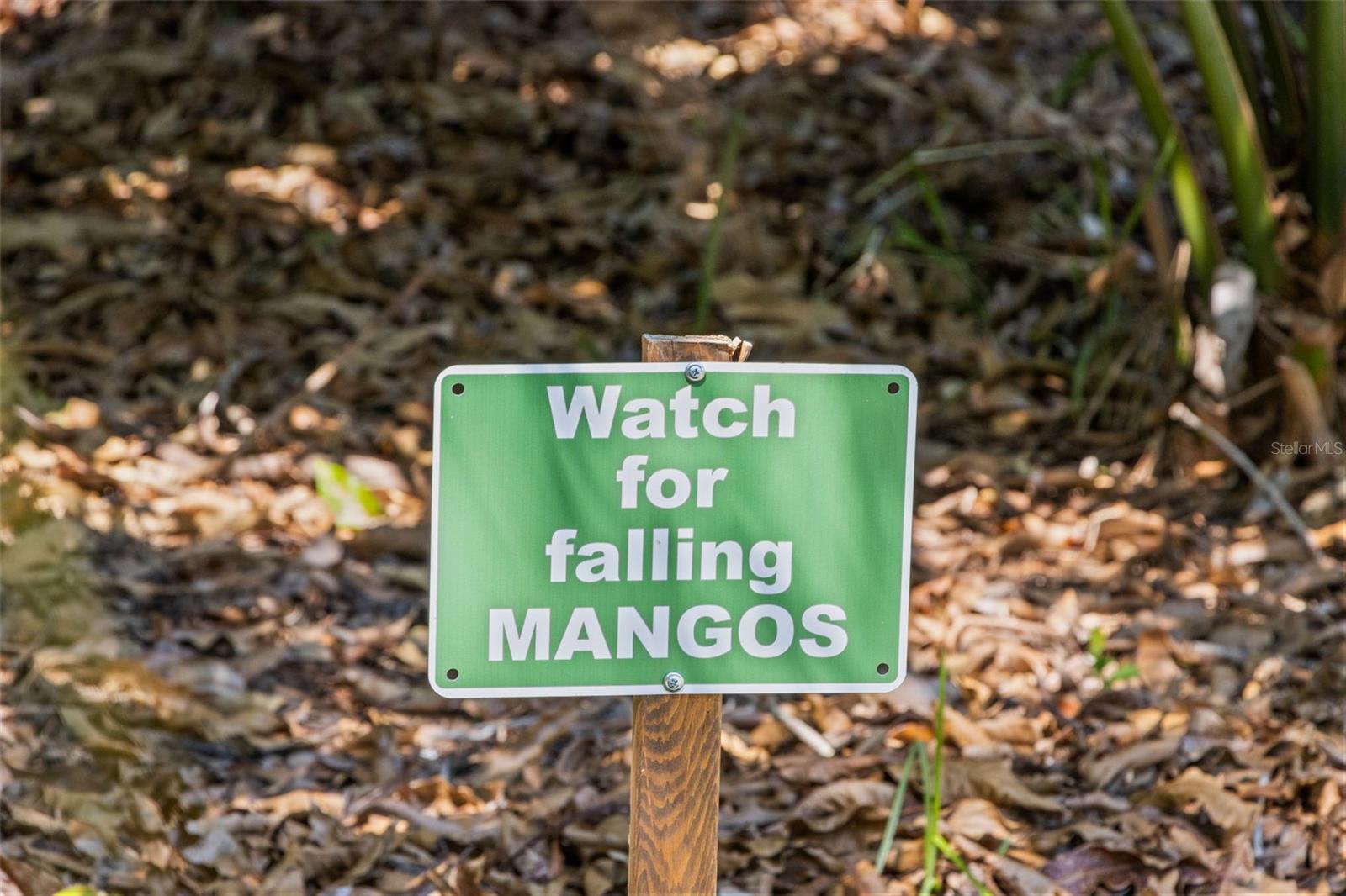 BAY WOODS SUB 1 TALLEYS - Residential